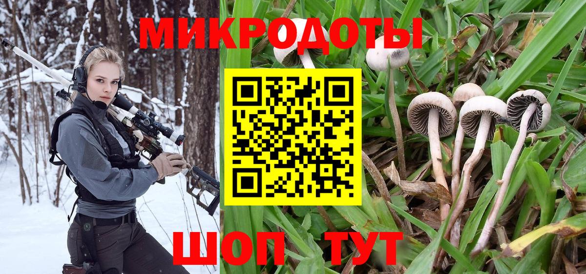 Большой Камень  Псилоцибиновые грибы Psilocybe  Вход с VPN 