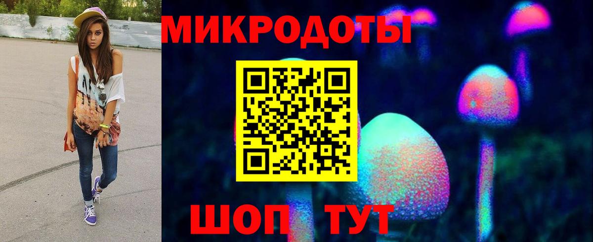 Галлюциногенные грибы мухоморы Большой Камень